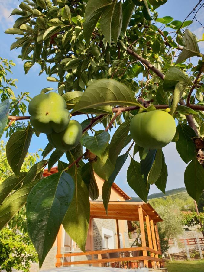 Mavridis House Villa Eleftherúpoli Kültér fotó
